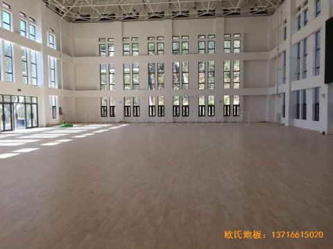 河南南陽南召縣天池電站運動館體育木